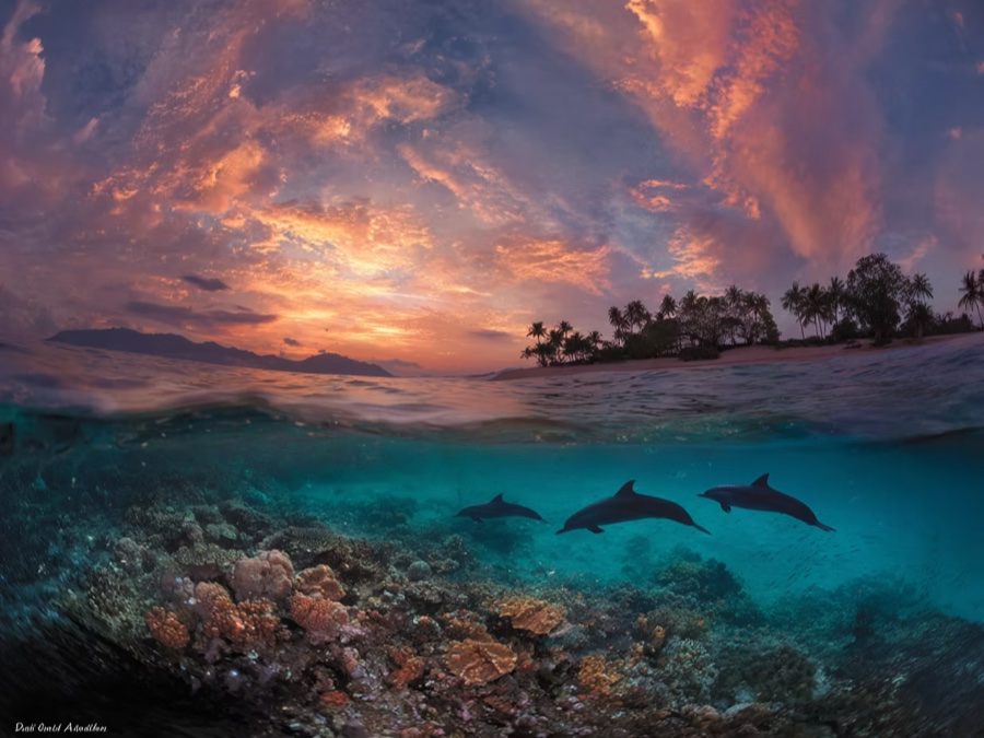 Ocean of Bliss